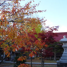 紅葉が綺麗でした