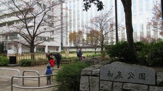 良く整備され明るく綺麗な公園です