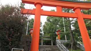 起伏に富んだ景観を楽しむことができました。