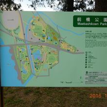 広い公園です