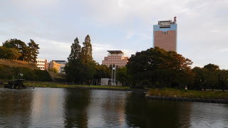 とても大きな公園です。前橋城の一部かと。