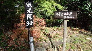寂光院や三千院へ