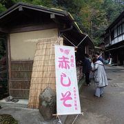 寂光院前の漬物屋