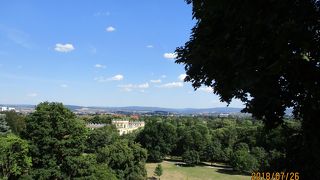 緑豊かな静かな公園