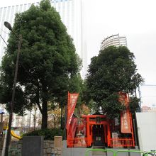 前 (南) 方向からの様子