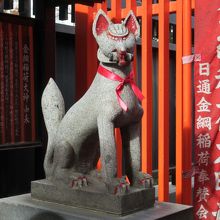 左手前の狛狐 (後方に「金綱稲荷大神由来」があります)