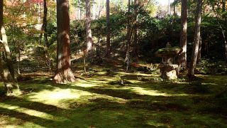 緑と紅葉がきれいでした