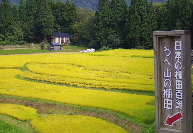 うへ山の棚田