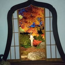 ライトアップされたお庭です