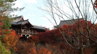 さすが東福寺　みごとな紅葉