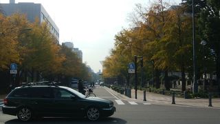 落ち着いた雰囲気の官庁街