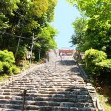 この階段・・・