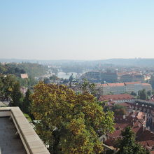 テラスからの眺め 