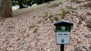 今は寂しい場所です