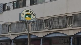 見て回るだけで楽しめます