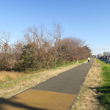 サイクリングロード