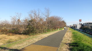 気持ちいいです