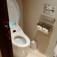 TOTOのトイレ。自動でフタが開きます。