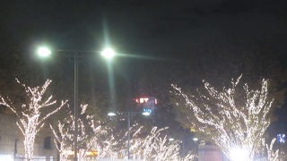 最近は青の洞窟のイルミネーションのほうがインパクトがあるように感じます