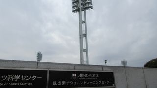 迫力あるプレーが見られます