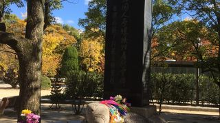 約2万人も犠牲に