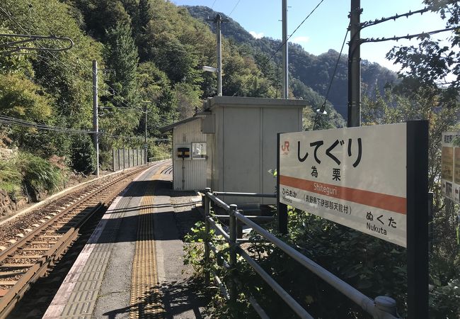 飯田線為栗駅：秘境駅巡り