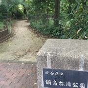 松濤の公園