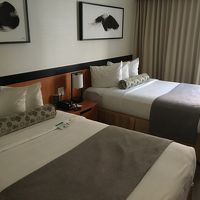 広めで清潔な部屋