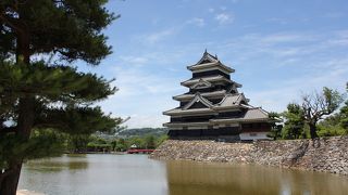 見る角度により様々な表情を見せてくれます