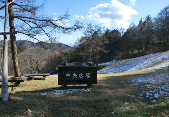 県民の森