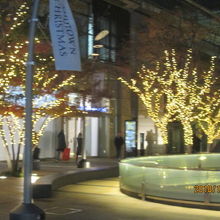 スターライトガーデン