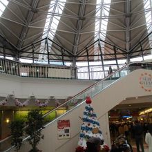 天井がドームです