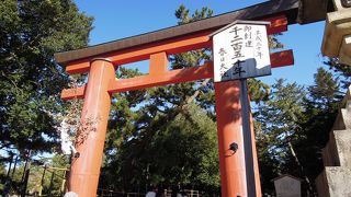 奈良訪問時には必須のパワースポットです。