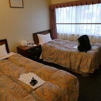 標準的でも窓が大きくて明るいです