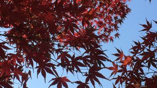 広くて気持ちいいー♩