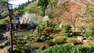 庭園が有名な鶴岡市のお寺