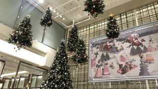 面白いんだけれど、週末は混雑覚悟。