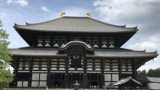 鹿と観光客だらけ