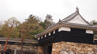 高知のシンボル