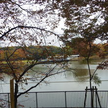 紅葉は終わってました