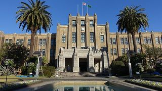 南国らしい雰囲気