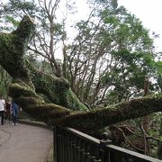 盧吉道観景台が絶景おすすめスポットです！！