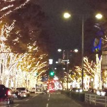 綺麗でしたが車道が邪魔ですね(笑)