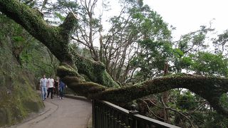 盧吉道観景台が絶景おすすめスポットです！！