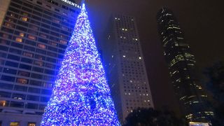 大きなツリーと高層ビルが美しい。