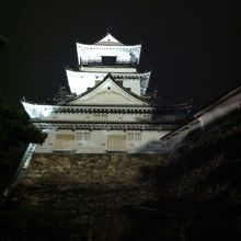 夜の高知城！雰囲気あるでしょ？