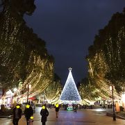 今年も同じようなイルミネーションでした。