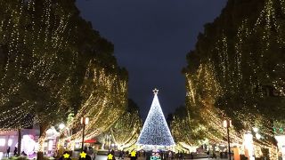 今年も同じようなイルミネーションでした。