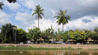 アジアヤシアマツバメを見てきました。