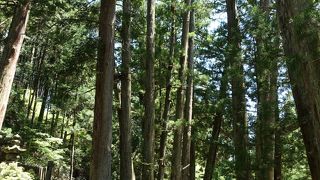 神聖なる雰囲気を感じます